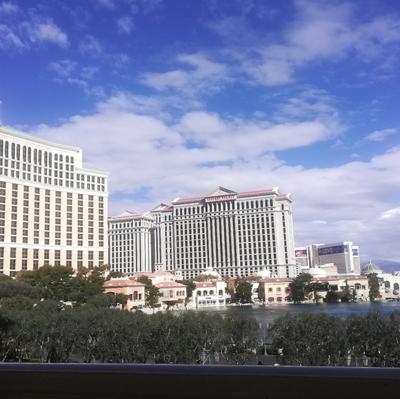 Meet your Posher, Emily - Picture 4 of 4